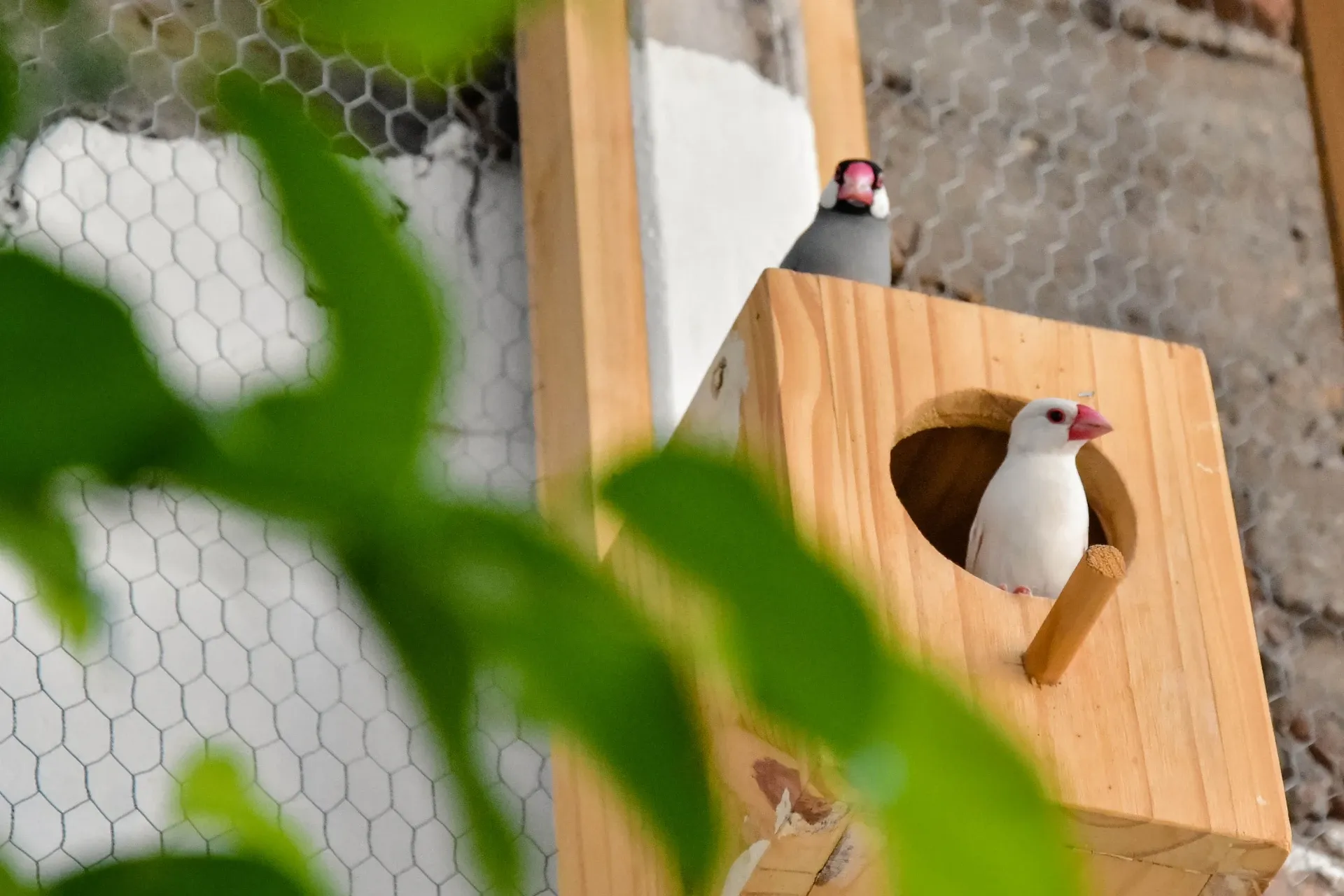 Instalaciones de Malleo Lodge 4